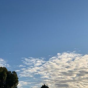 Meet your Posher, Jacqueline